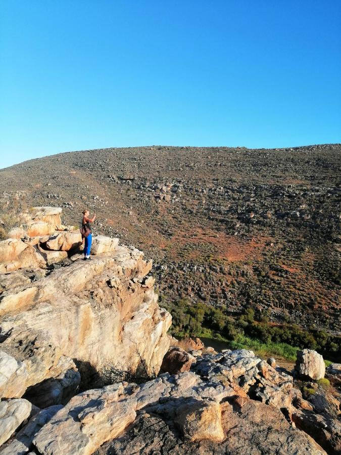 Villa Oudrif Farm Clanwilliam Esterno foto