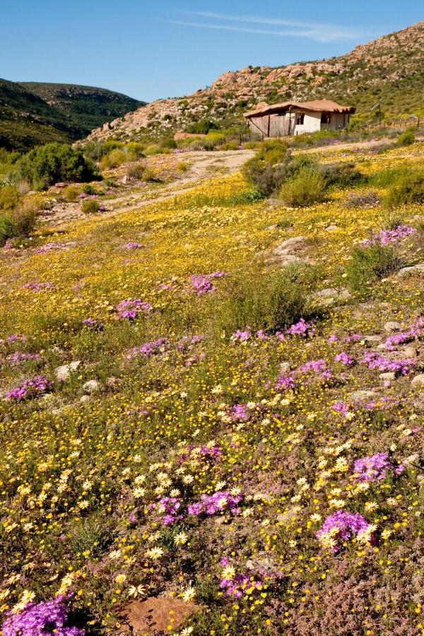 Villa Oudrif Farm Clanwilliam Esterno foto