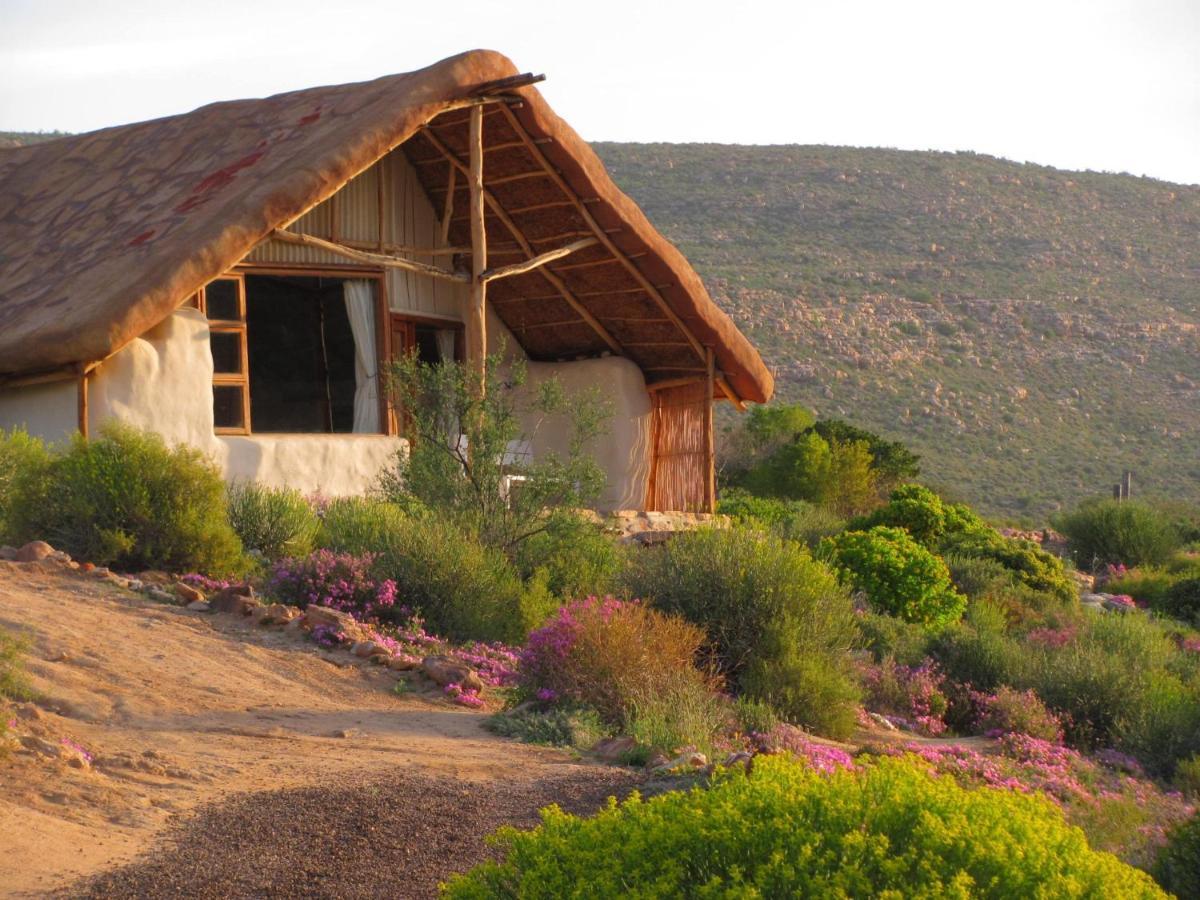 Villa Oudrif Farm Clanwilliam Esterno foto