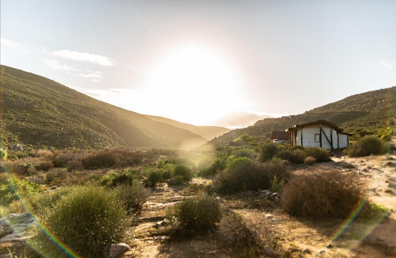 Villa Oudrif Farm Clanwilliam Esterno foto