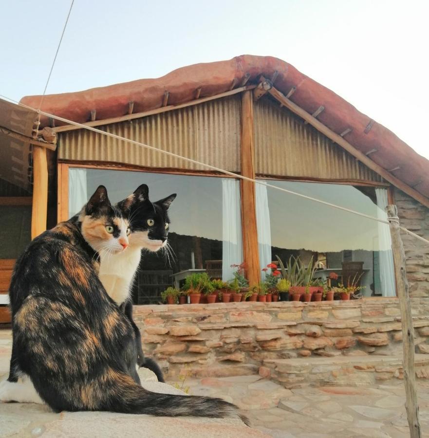 Villa Oudrif Farm Clanwilliam Esterno foto
